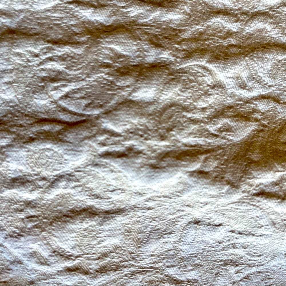 Chico's classy Textured Jeggings - Picture 8 of 9